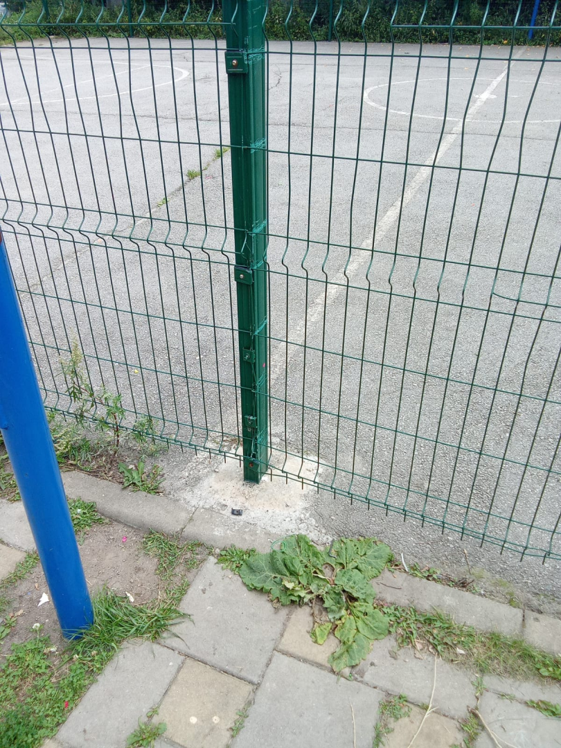 image (4624).png