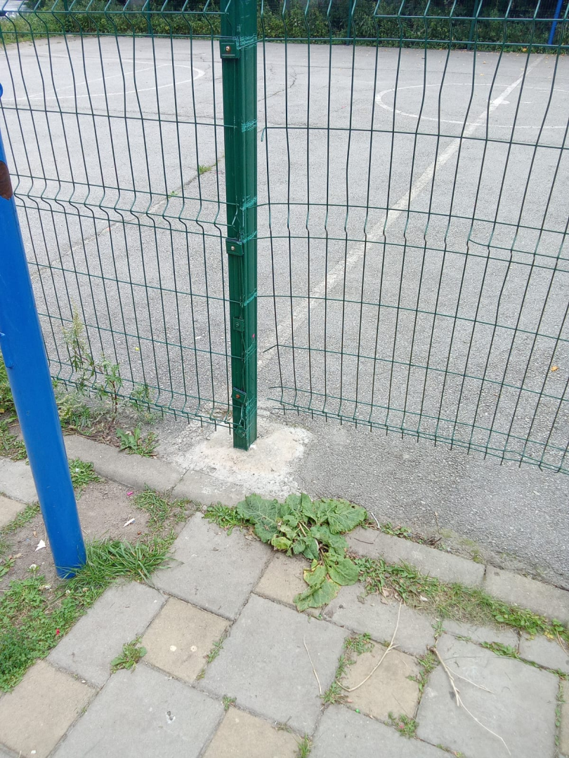 image (4623).png